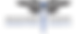 Health.png